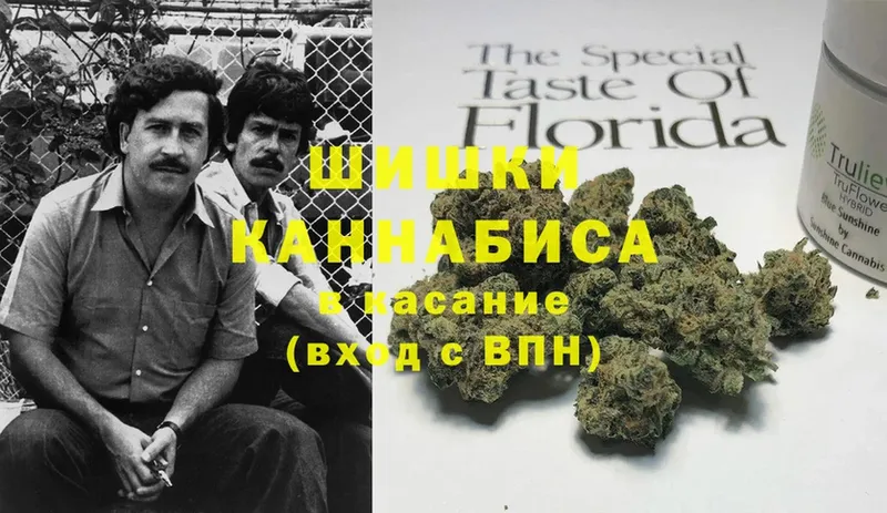 Бошки марихуана OG Kush  даркнет сайт  Кропоткин 